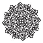花纹