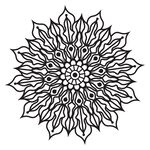 花纹