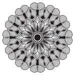 花纹