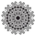 花纹