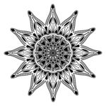 花纹