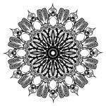 花纹