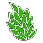 花纹