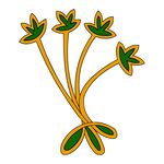 花纹