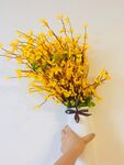 黄花