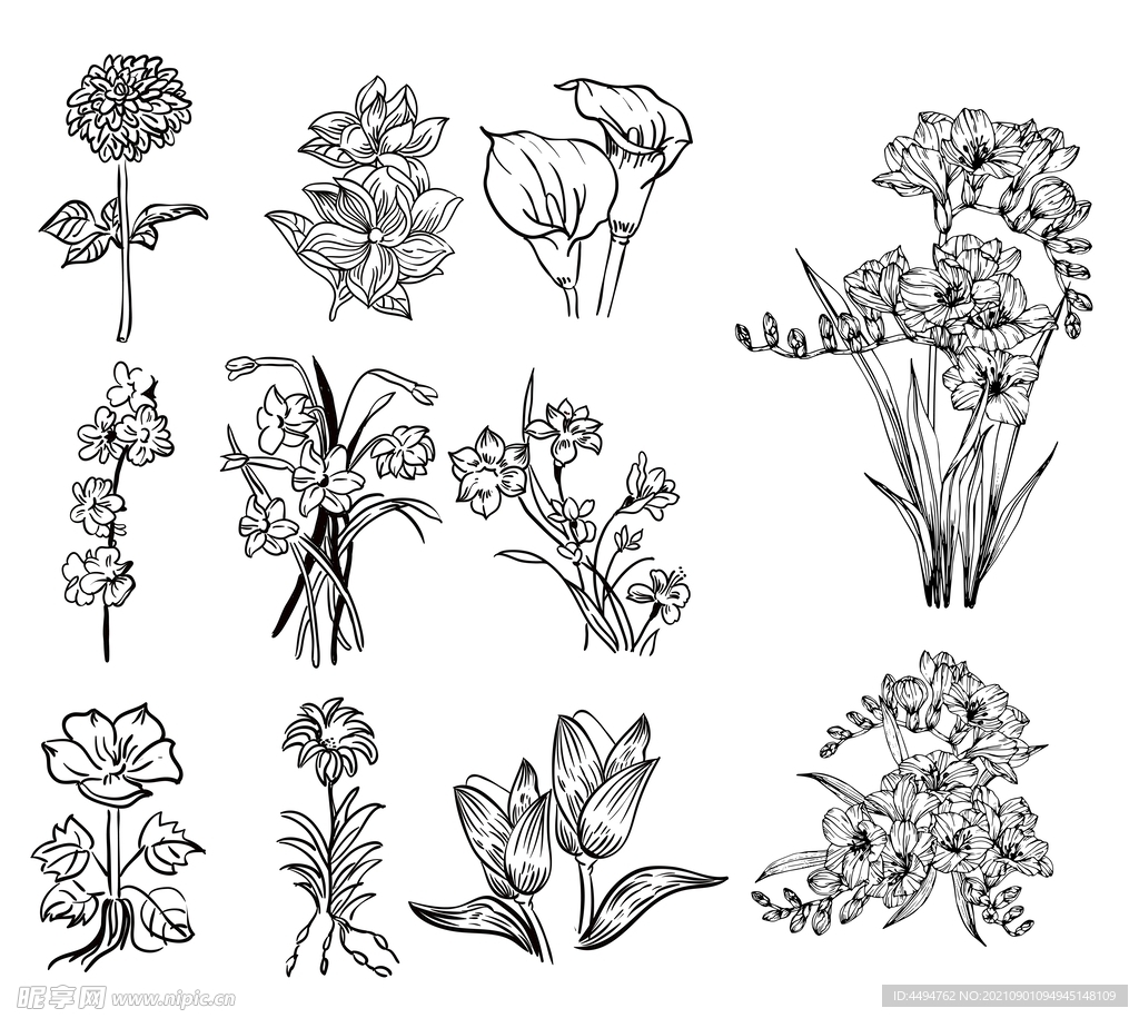 花手绘