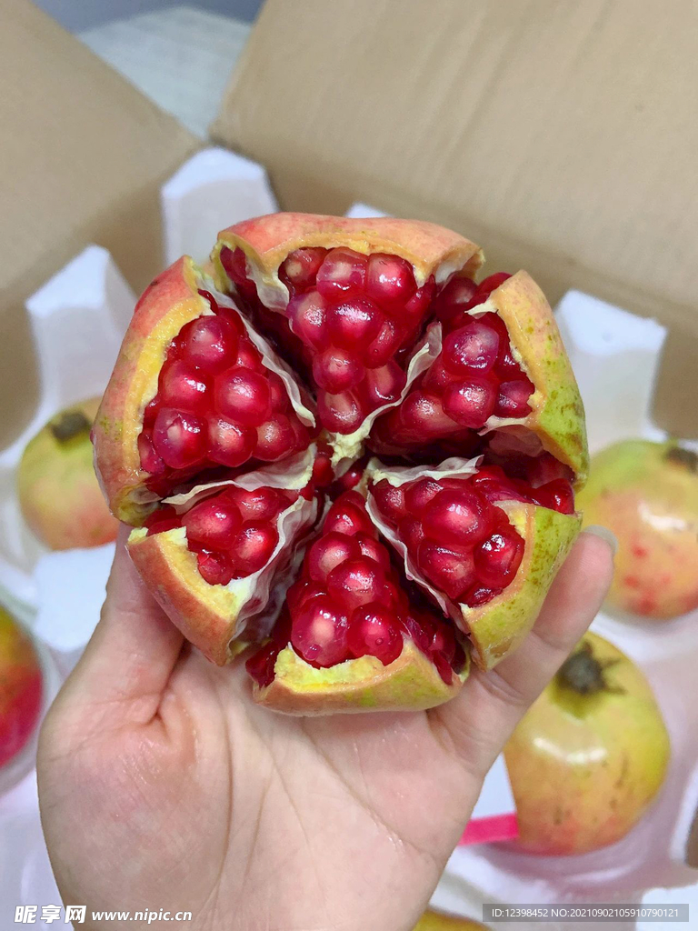 石榴