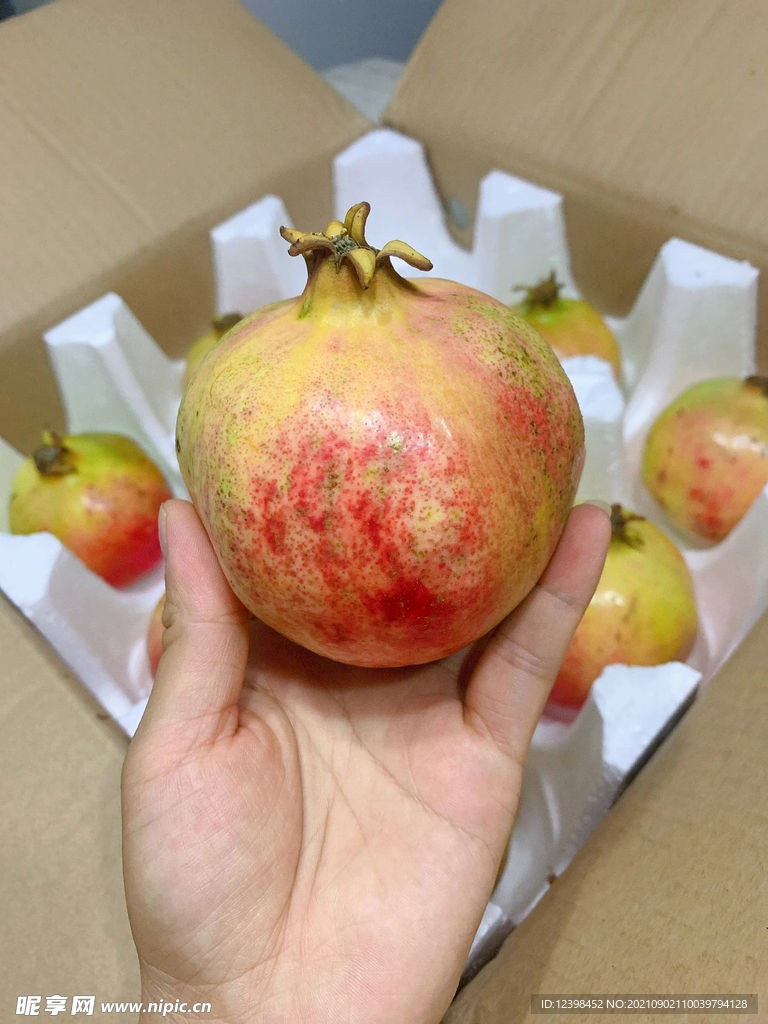 石榴