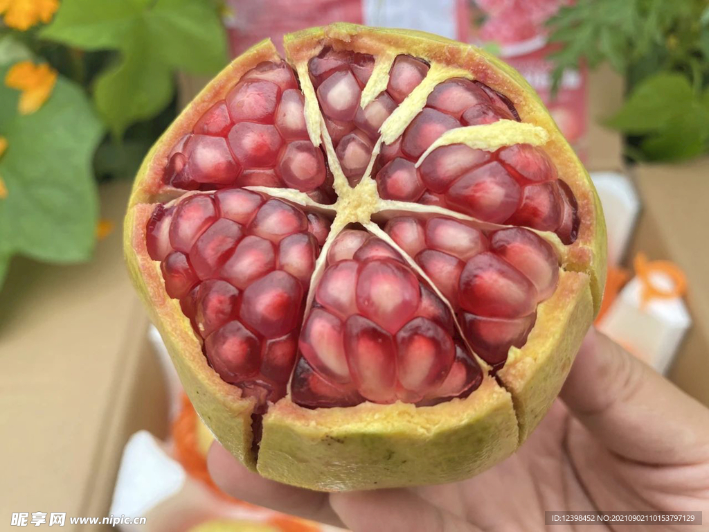 石榴
