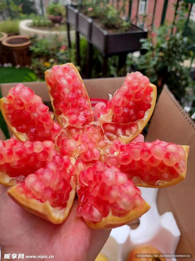 石榴