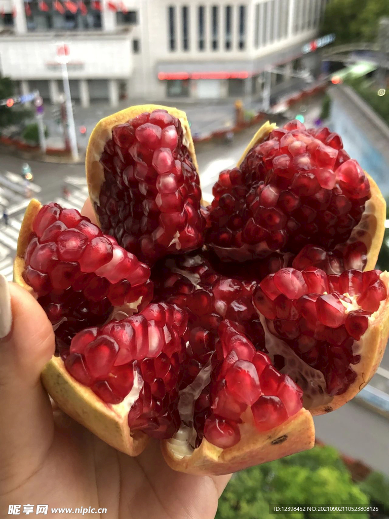 石榴