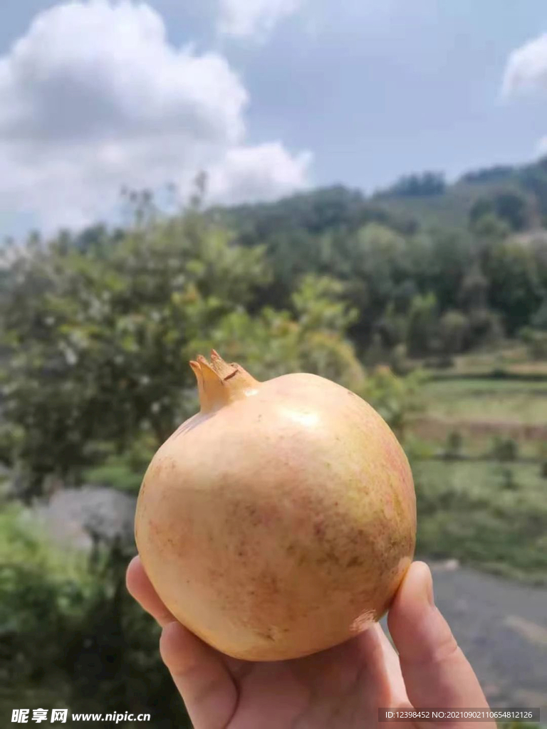 石榴
