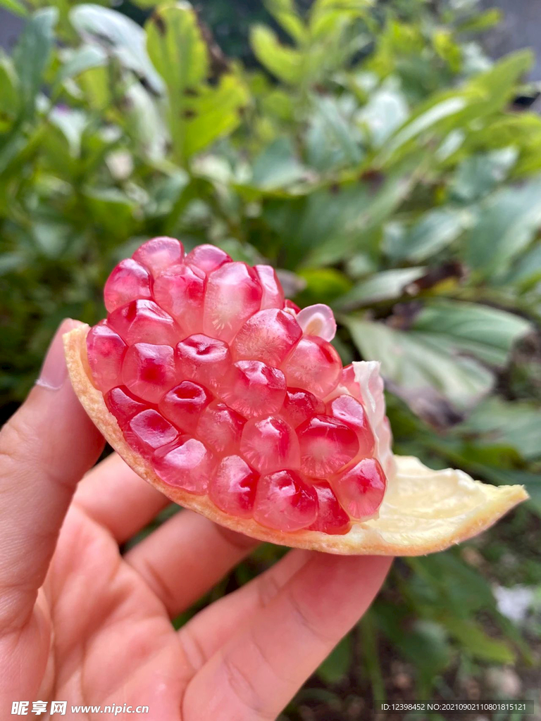 石榴