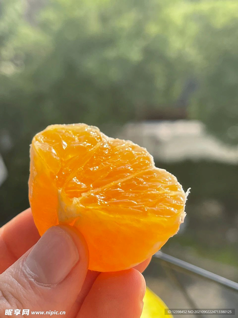 橘子