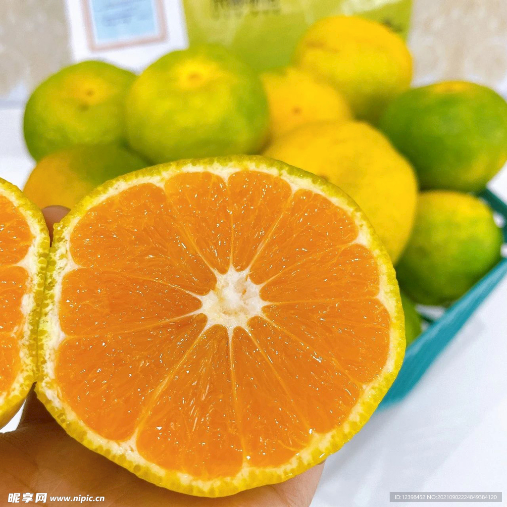 蜜橘