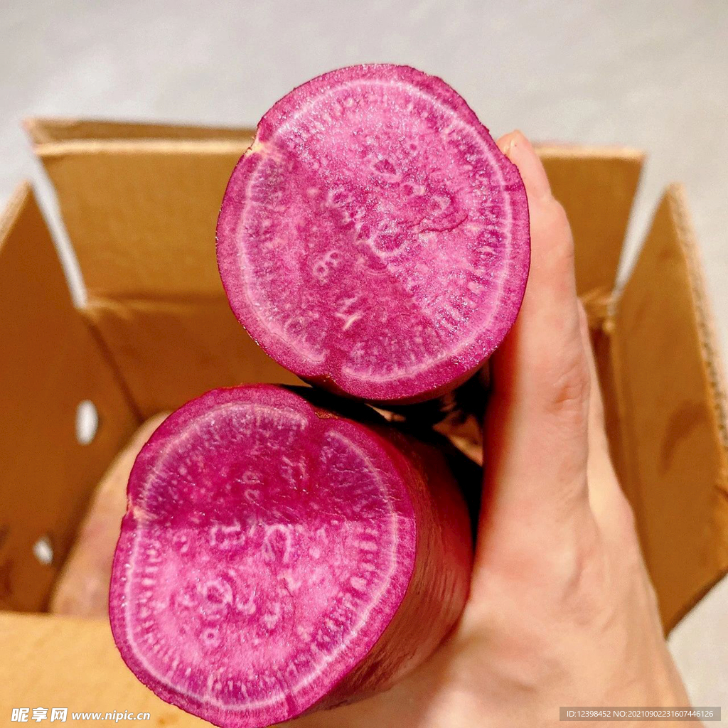 紫薯