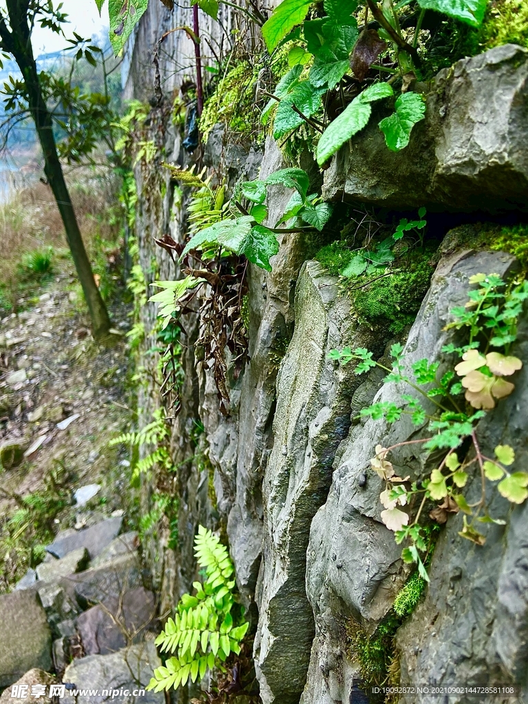 河边风景