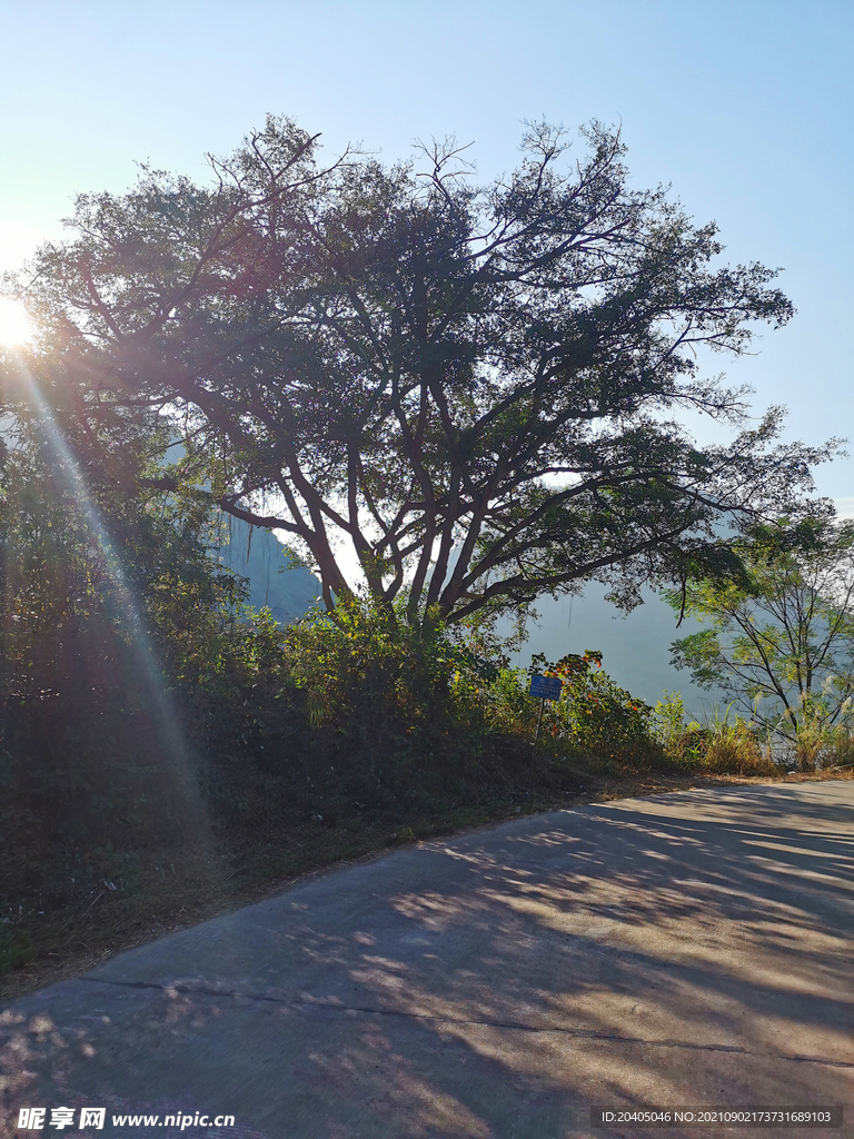 乡村道路风光