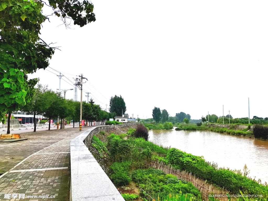 美丽的河道风景