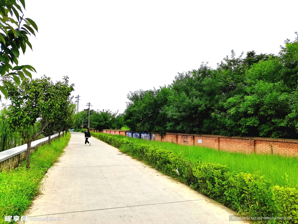 美丽的乡村道路风景