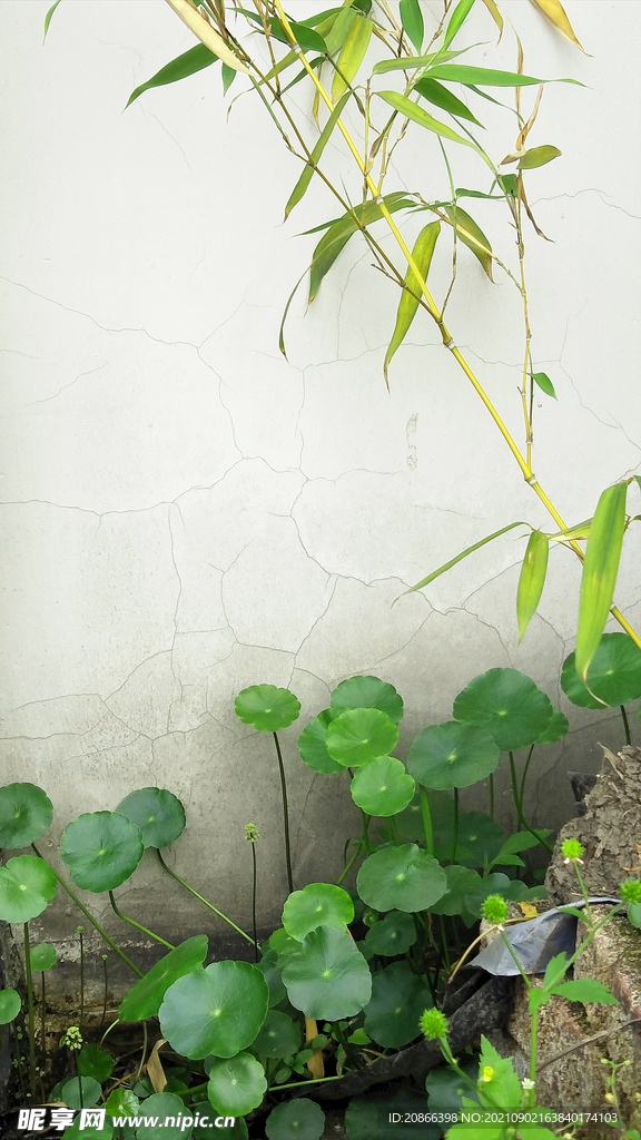 花园一角