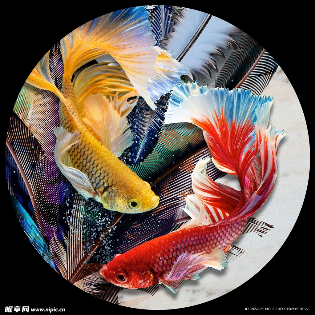 鱼圆形装饰画