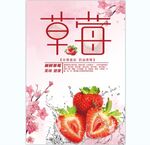 草莓