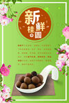 桂圆