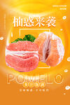 柚子海报