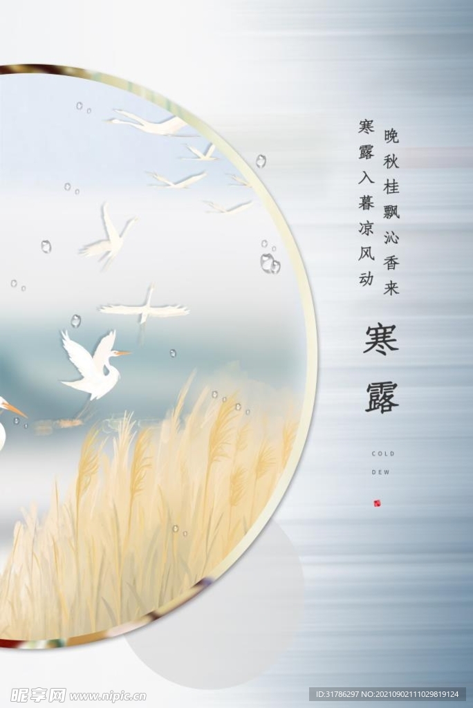 寒露