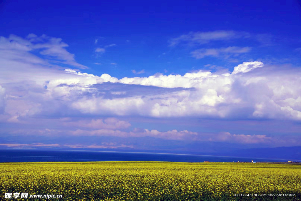 青海湖