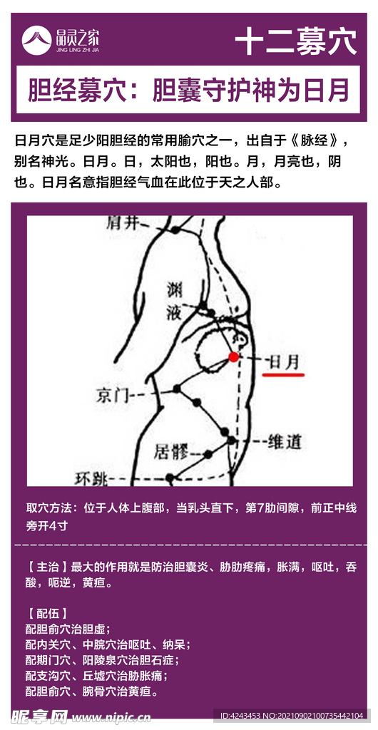 十二募穴