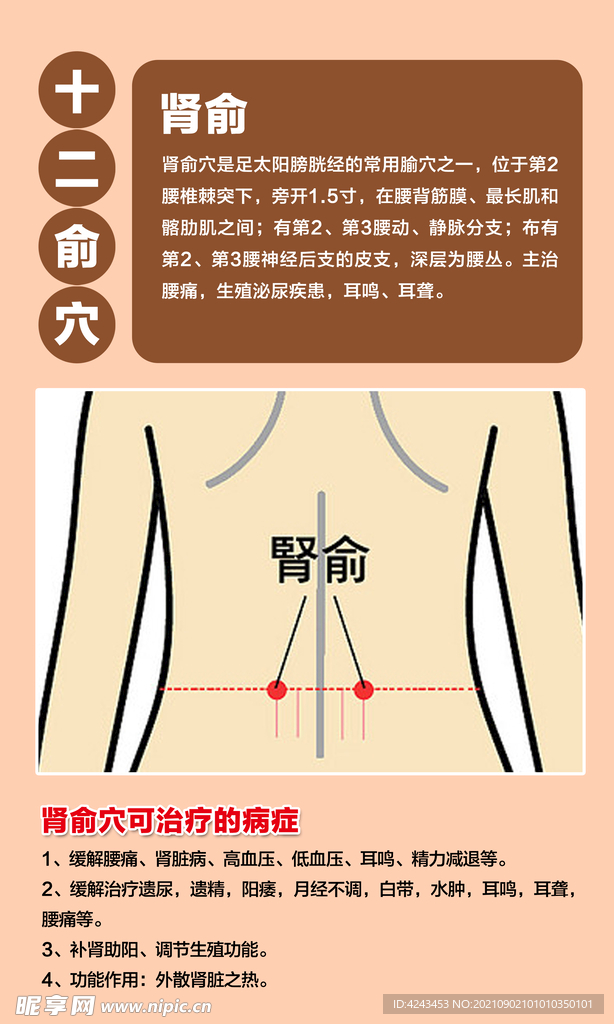 十二俞穴