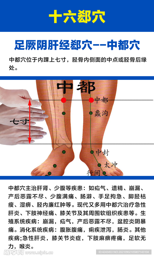 十六募穴