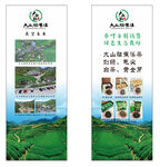大山脑茶园