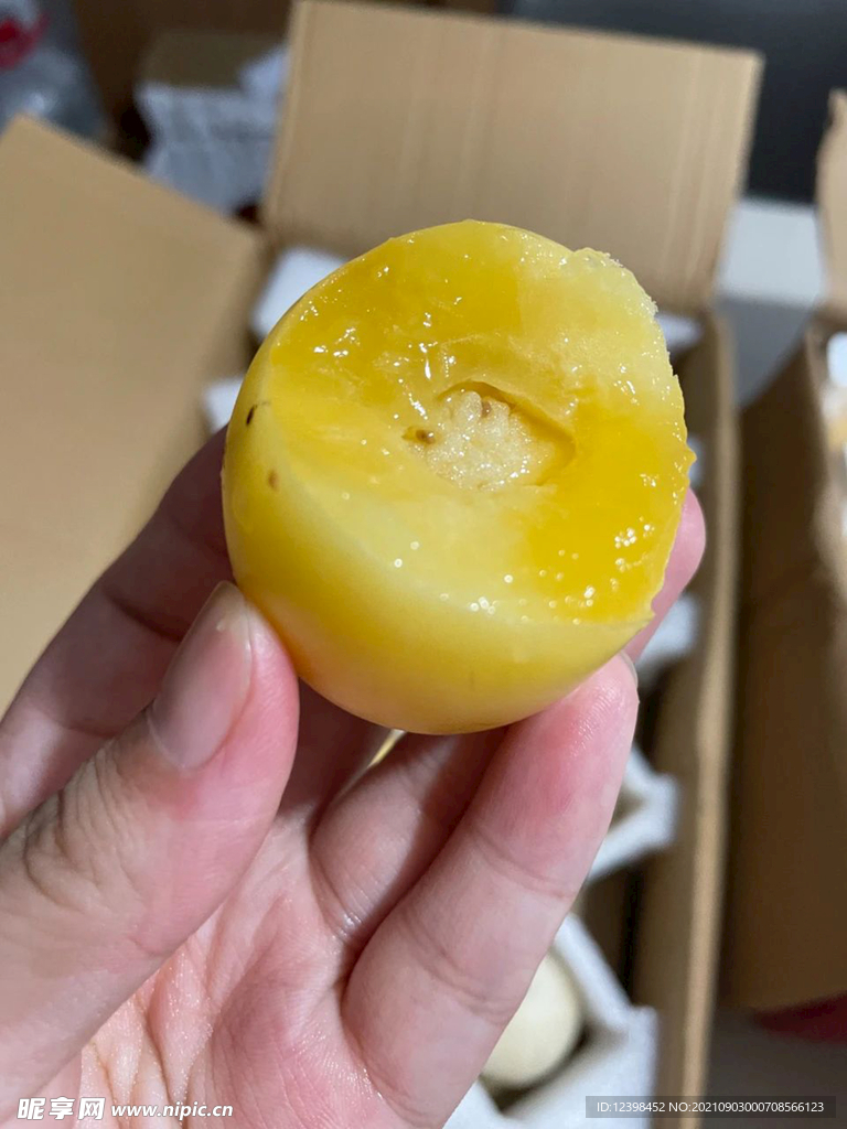 人参果