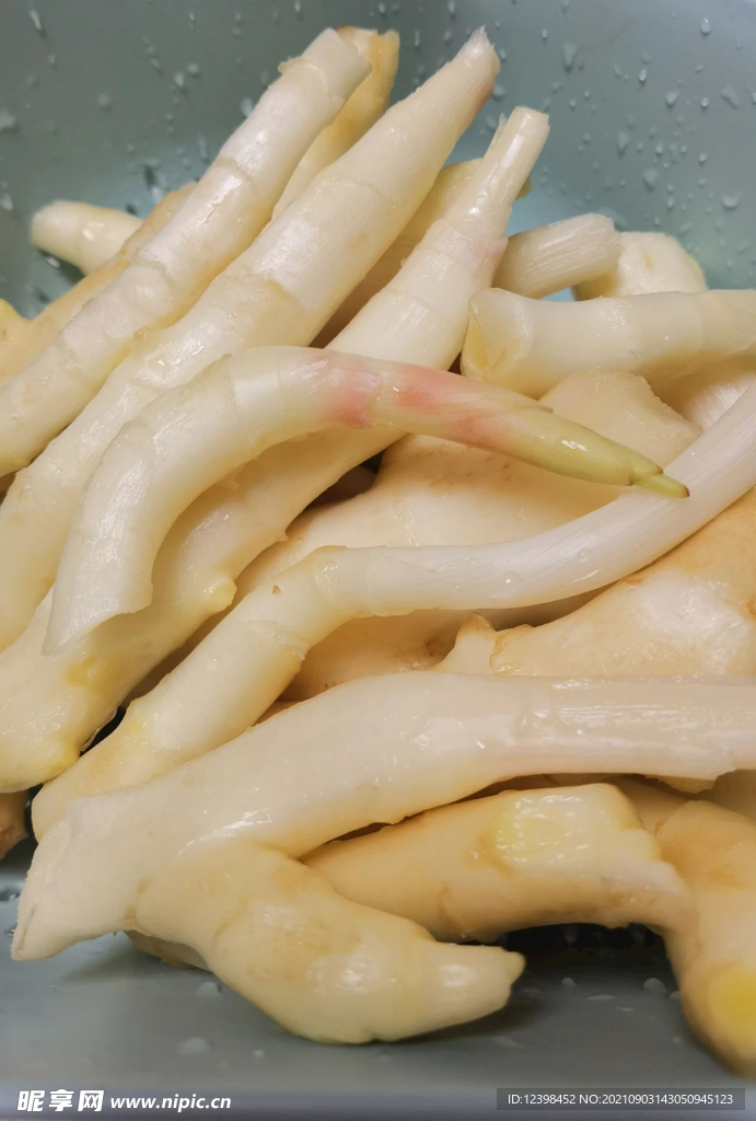 生姜