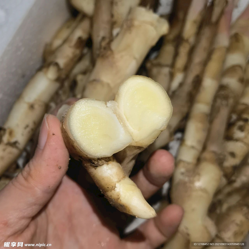 生姜