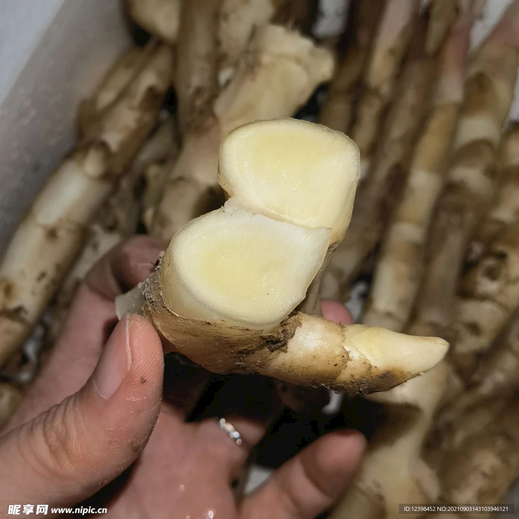 生姜