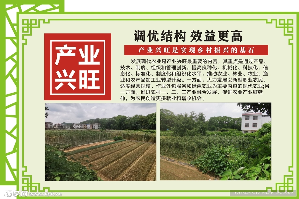 乡村振兴 