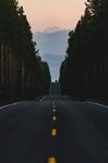 风景