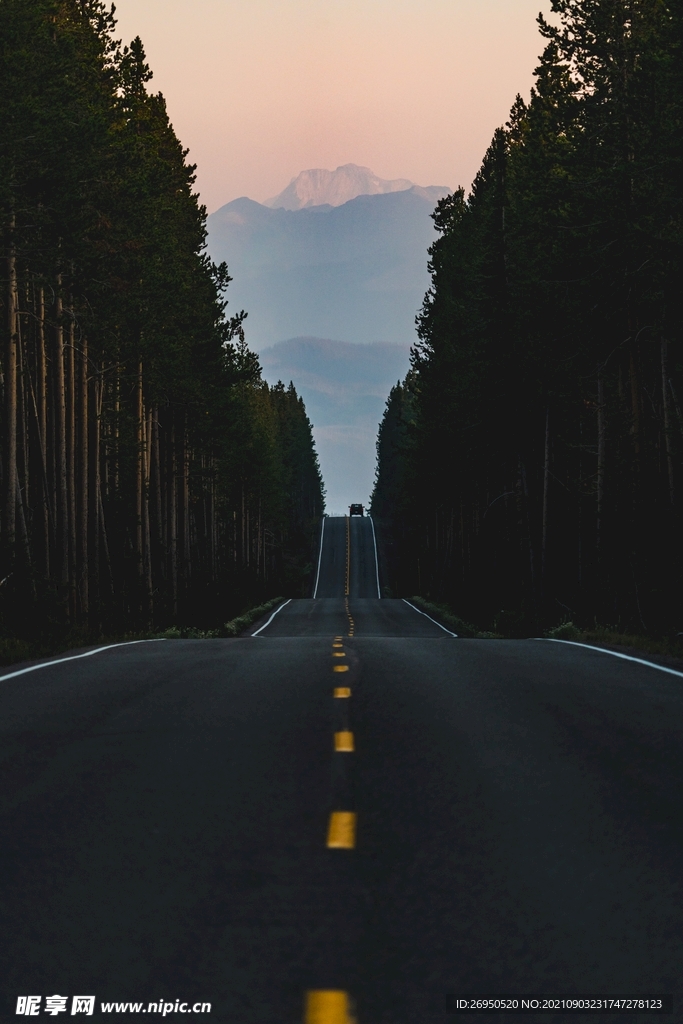 风景