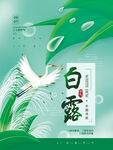 白露