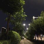 夜景图