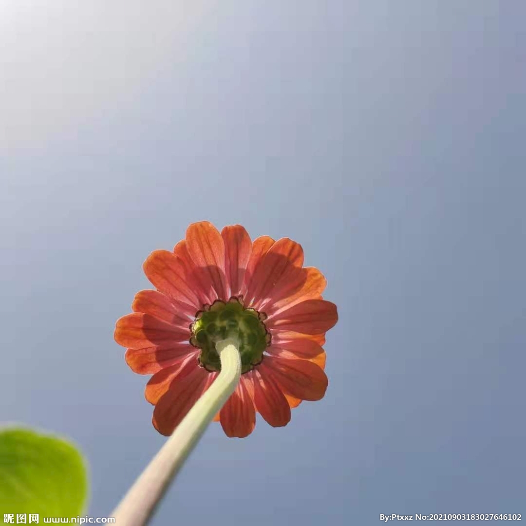 向上