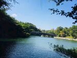 青山绿水