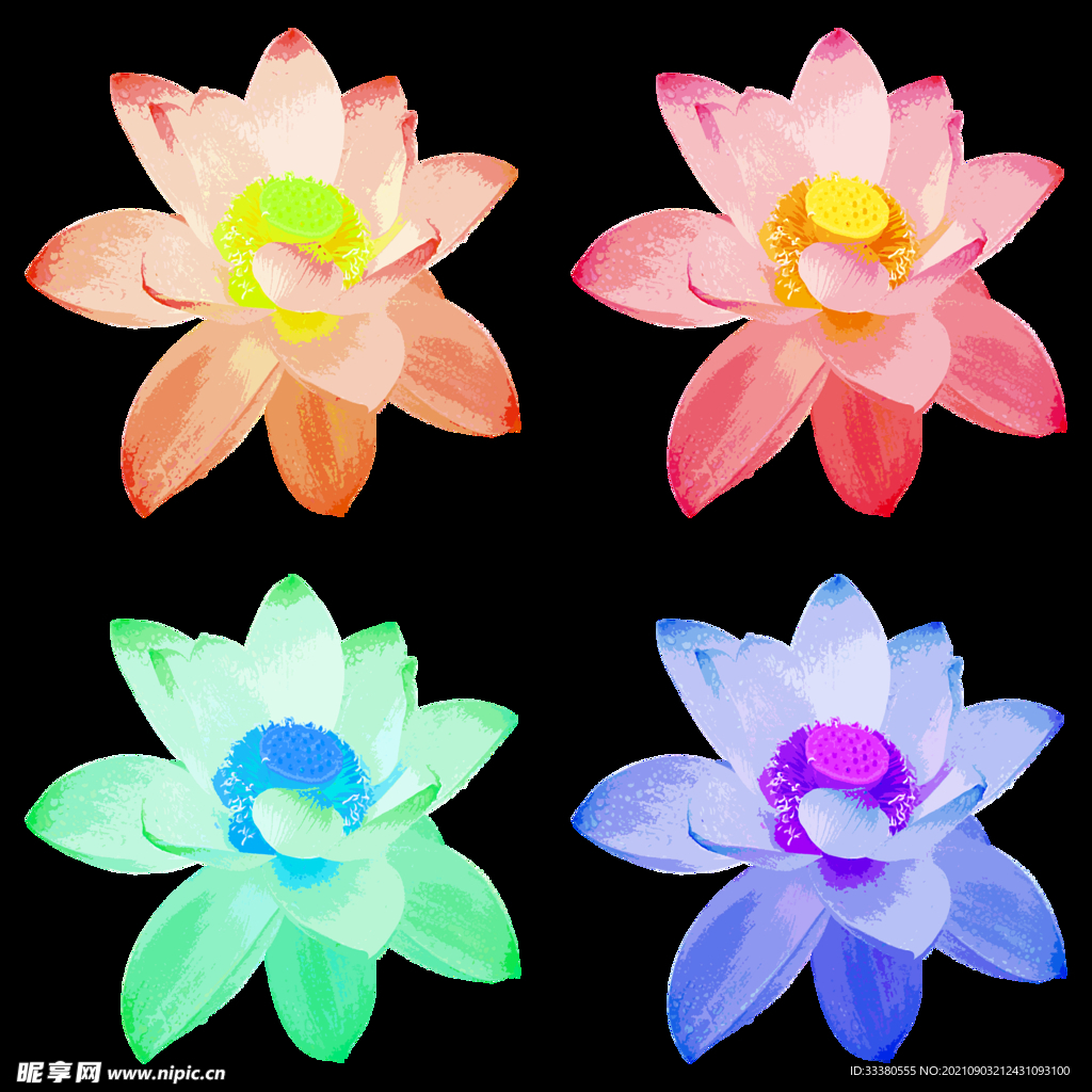 彩色荷花