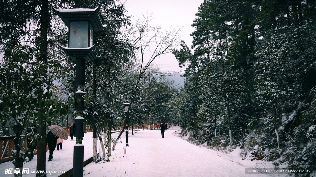 飞山路灯