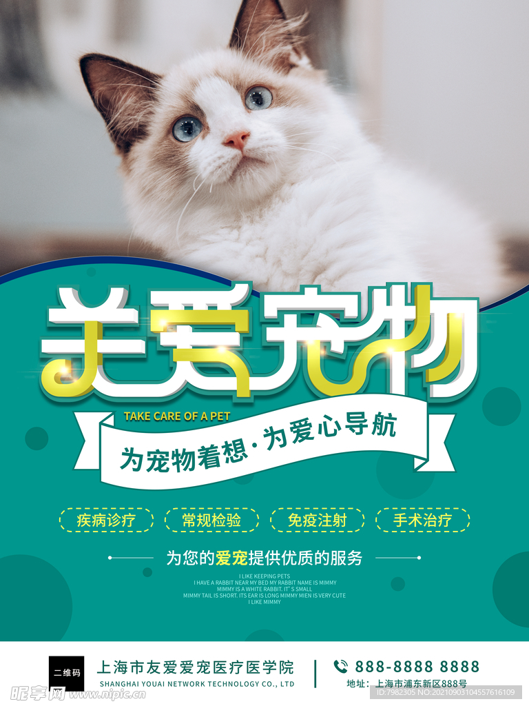 宠物海报