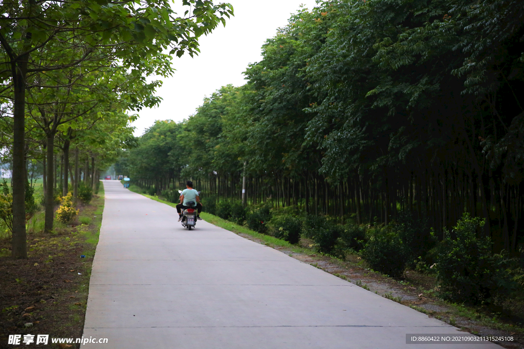 乡村公路